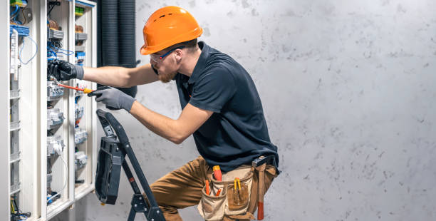 Best Electrical System Inspection  in Princeton, IL
